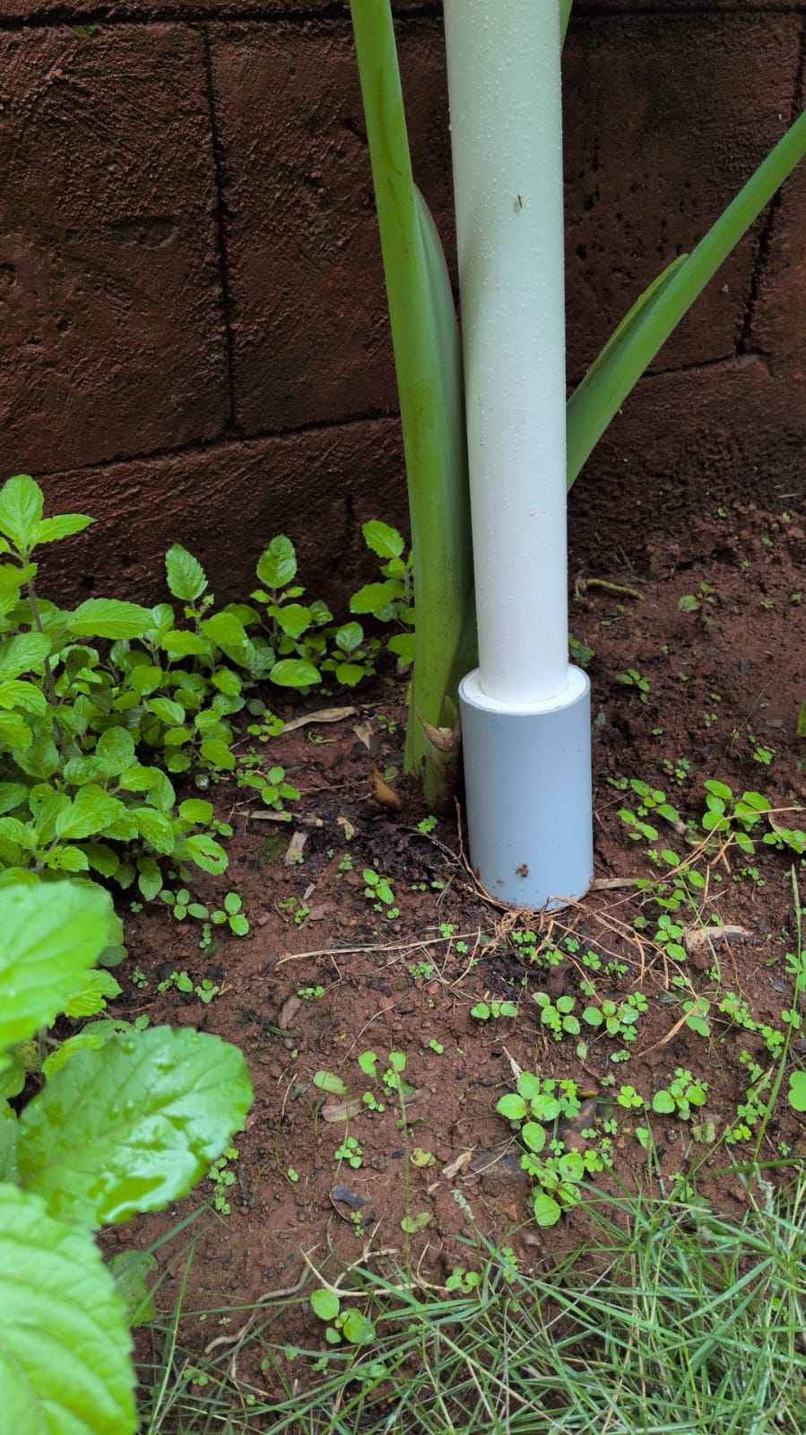 Smart Agritech & Precision Farm Automation Mesh field image 2