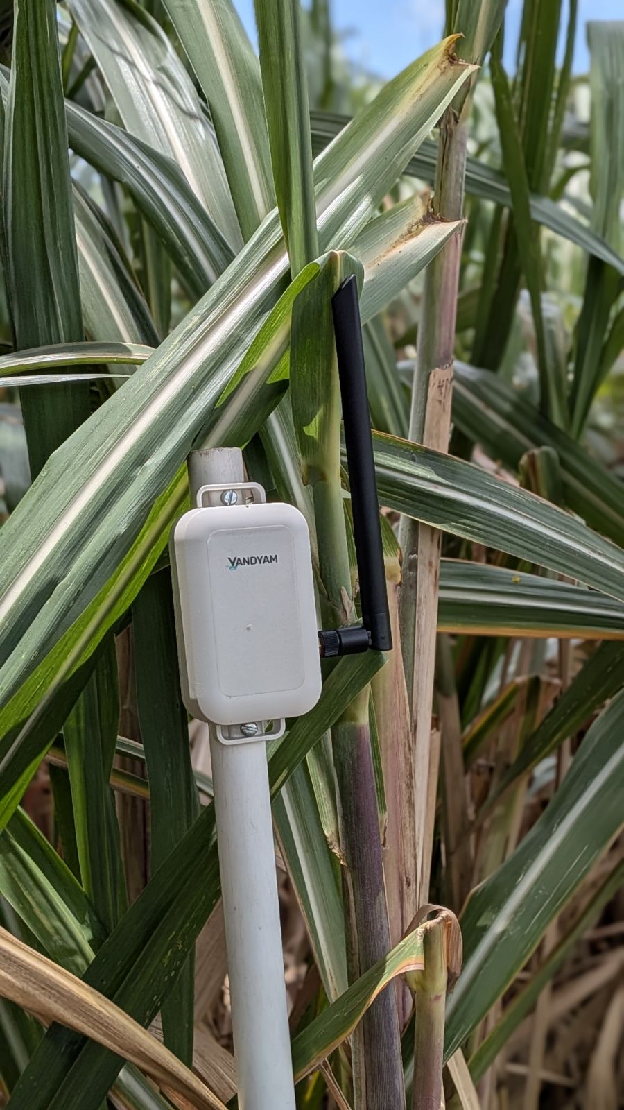 Smart Agritech & Precision Farm Automation Mesh field image 1