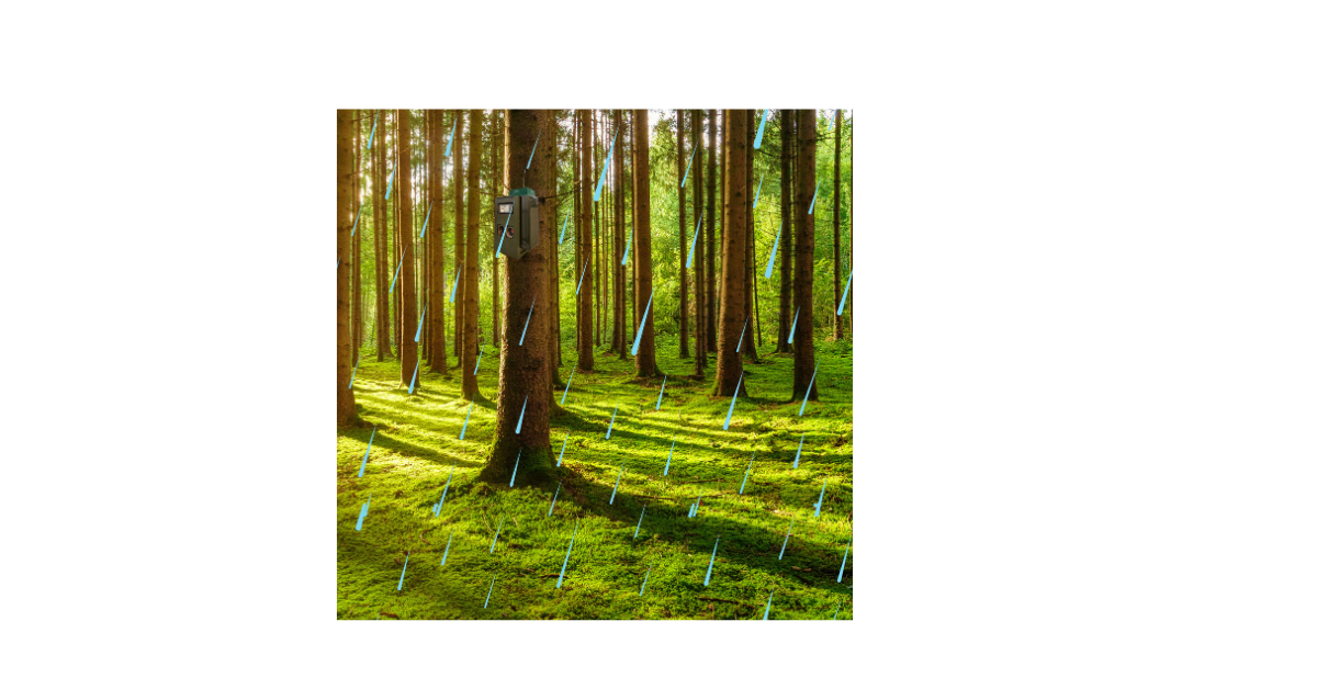 Thermal imaging for forest monitoring